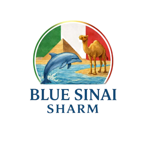 Blue sinai sharm Egypt specializes in domestic tourism, offering well-organized tours across Egypt’s most popular destinations. We provide reliable transportation, professional service, and customized travel experiences designed to meet our clients’ expectations.