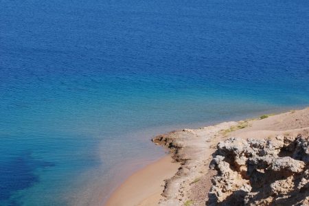 Ras Mohammed – Mezza giornata di snorkeling